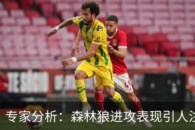 专家分析：森林狼进攻表现引人注目 三球助攻 爱德华兹更专注进攻