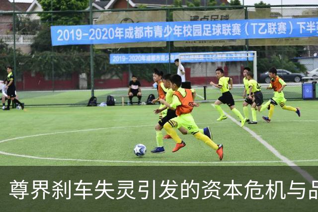 尊界刹车失灵引发的资本危机与品牌反思